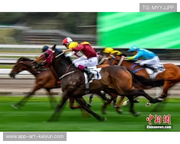 荷兰马术协会推出马术运动员心理辅导项目,提升竞技表现。,荷兰马拉松比赛 荷兰马术协会推出马术运动员心理辅导项目,提升竞技表现。,荷兰马拉松比赛